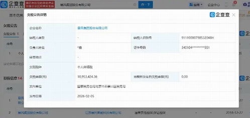 暴風(fēng)集團(tuán)深陷債務(wù)漩渦 欠稅超千萬(wàn)，未履行債務(wù)逾8億，互聯(lián)網(wǎng)服務(wù)前景堪憂